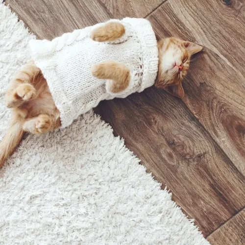 Pet friendly hardwood flooring | Signature Flooring, Inc